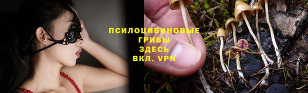 прущая мука Вязники