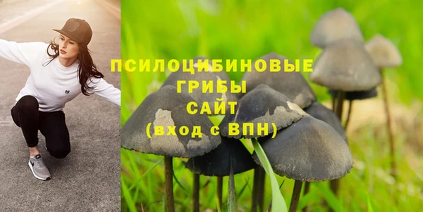 крисы Вяземский