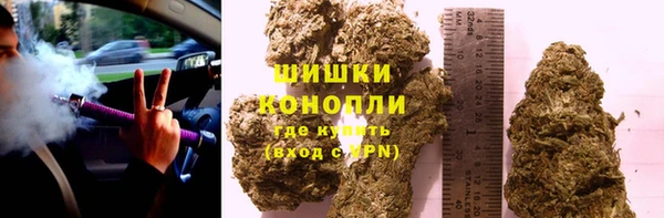 стаф Володарск