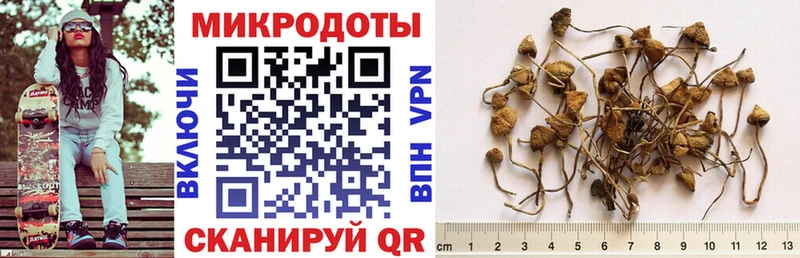 Галлюциногенные грибы GOLDEN TEACHER  Елец 