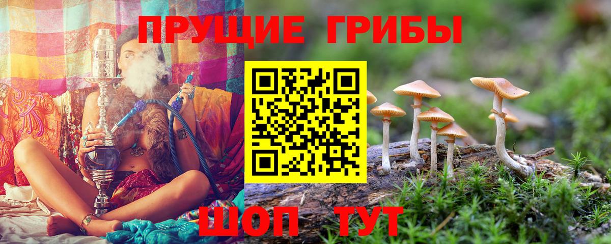 Галлюциногенные грибы мицелий Елец